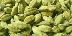 Green Cardamom
