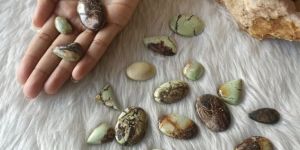 Lemon Chrysophrase Cabochons