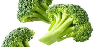 Frozen Broccoli Florets