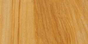 Teakwood Sandstone Slabs