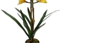 ORCHID Artificial Plants