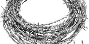 Barbed Wire