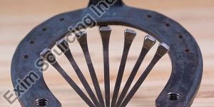 Horse Shoe and Nails