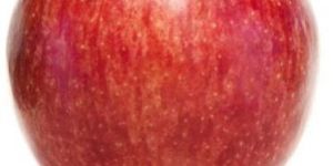 Fresh Gala Apple