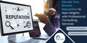 Social Media Management Services