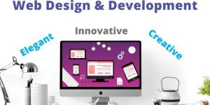 Website Development Services