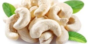 Cashew Nuts