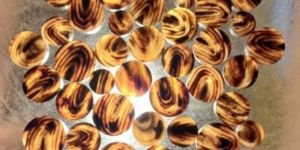 Buffalo Horn Button Blank