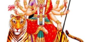 Sri Chakradari Jyothishya Astrology Services