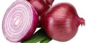 Onion