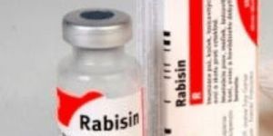 RABISIN 10ML (INACTIVATED RABIES ANTIGEN+ALU)