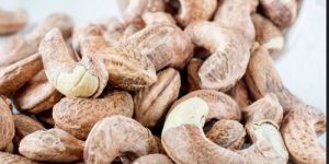 Cashew with Skin