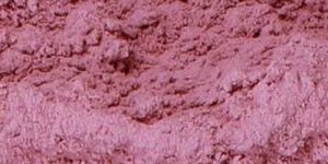 Dehydrated Red Onion Powder