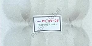 4 Piece Paper Pulp Moulded Fruit Tray