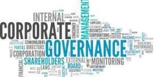 Corporate Governance Services