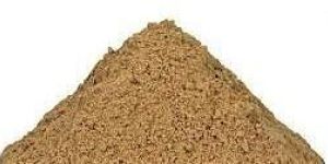 Alpinia Galangal Extract