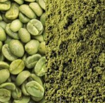 Green Coffee Extract
