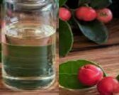 Wintergreen Oil