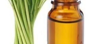 Lemongrass Essential Oil