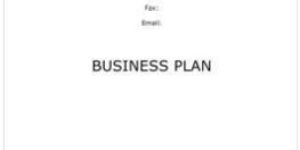 Business Plan Designing Services