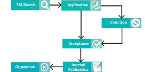 Trademark Registration Process Services
