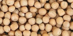 Matar Dal