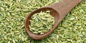 Fennel Seeds