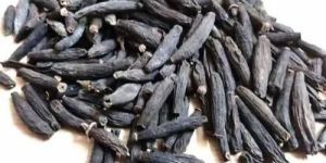 Spices Black Marathi Moggu
