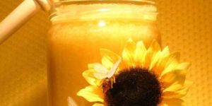 Sunflower Honey