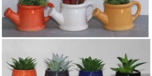 Designer Ceramic Planters
