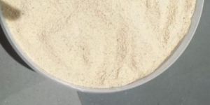 Cashew Powder