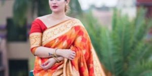 Banarasi Cotton Silk Saree