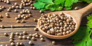 Coriander Seeds