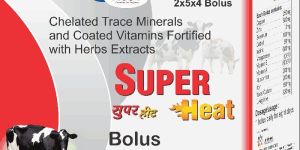 Super Heat Bolus