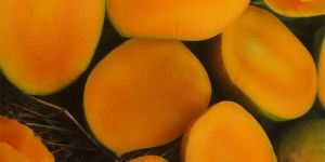 Gir Kesar Mango