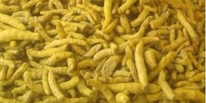 Turmeric (Organic /IPM )