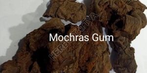 Mochras Gum
