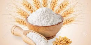 Wheat Flour