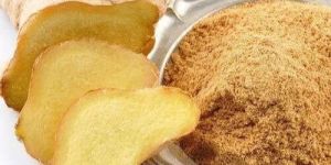 Galangal Powder
