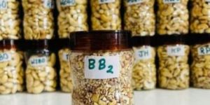 BB2 Organic Split Cashew Nut