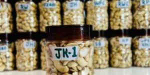 JK1 Organic Split Cashew Nut