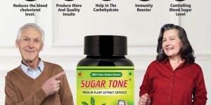 Antidiabetic Supplements