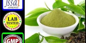 Green Tea Extract