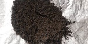 Organic Vermicompost Powder