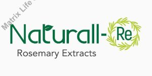 Carnosic Acid Powder (Rosemary Extract)