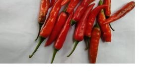 Dry Red Chilli