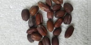 Herbal Jojoba Seed