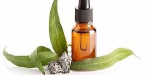 Eucalyptus Essential Oil