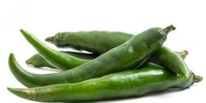 Fresh Green Chilli