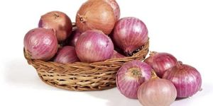 Fresh Onion